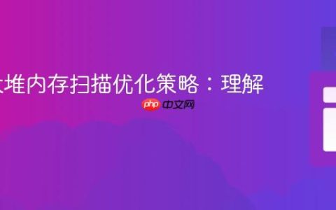 ZGC大堆内存扫描优化策略：理解与应对