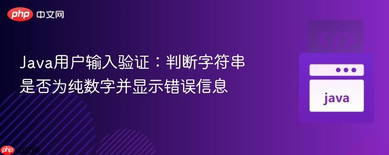 Java用户输入验证:判断字符串是否为纯数字并显示错误信息