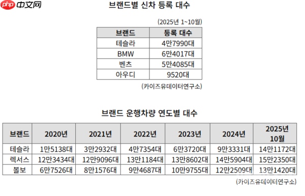 特斯拉在韩销量五年增长近十倍!1-10月售出47990辆