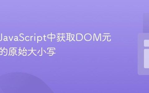 如何在JavaScript中获取DOM元素名称的原始大小写