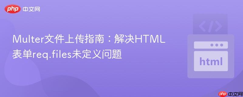 Multer文件上传指南:解决HTML表单req.files未定义问题