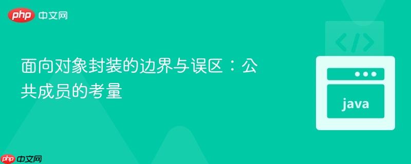面向对象封装的边界与误区:公共成员的考量