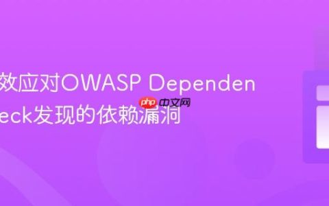 如何有效应对OWASP Dependency-Check发现的依赖漏洞