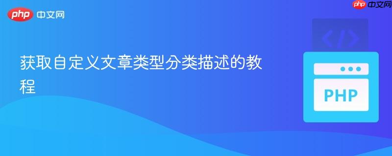 获取自定义文章类型分类描述的教程