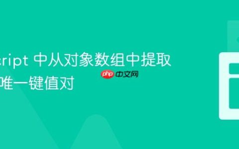 JavaScript 中从对象数组中提取并优化唯一键值对