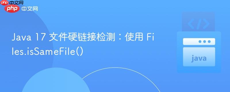 Java 17 文件硬链接检测:使用 Files.isSameFile()