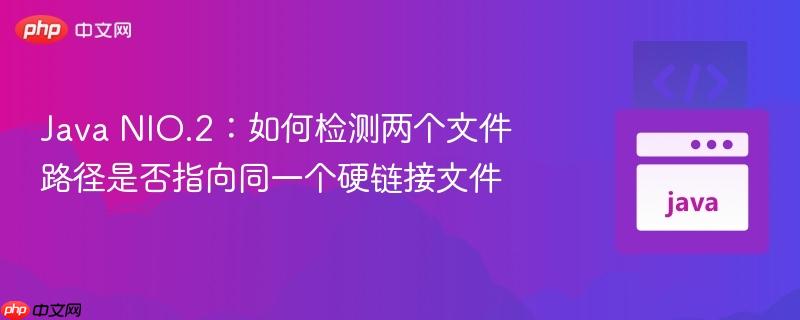 java nio.2:如何检测两个文件路径是否指向同一个硬链接文件