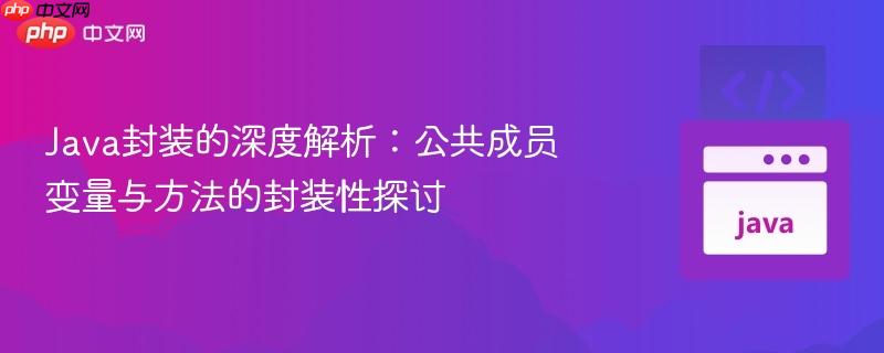 Java封装的深度解析:公共成员变量与方法的封装性探讨