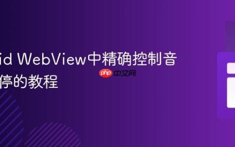 Android WebView中精确控制音视频暂停的教程