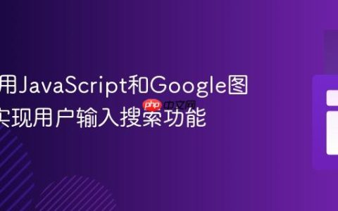 如何使用JavaScript和Google图书API实现用户输入搜索功能