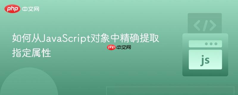 如何从JavaScript对象中精确提取指定属性