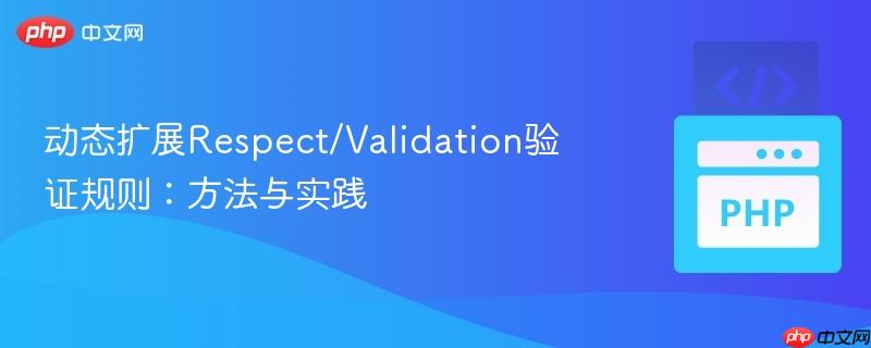动态扩展Respect/Validation验证规则:方法与实践