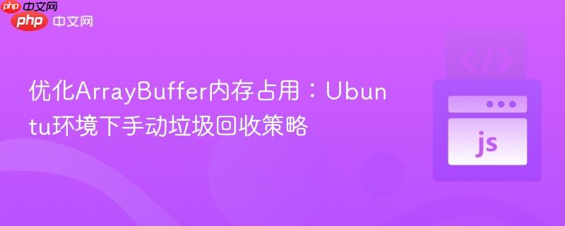 优化ArrayBuffer内存占用:Ubuntu环境下手动垃圾回收策略