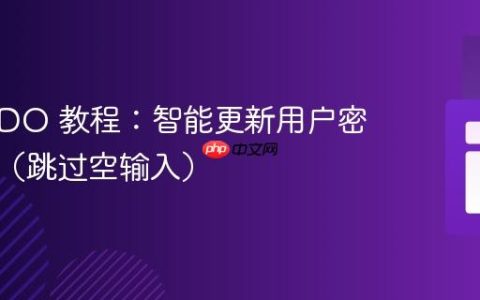 PHP PDO 教程：智能更新用户密码字段（跳过空输入）