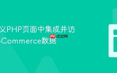 在自定义PHP页面中集成并访问WooCommerce数据