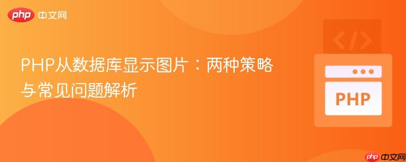 PHP从数据库显示图片:两种策略与常见问题解析