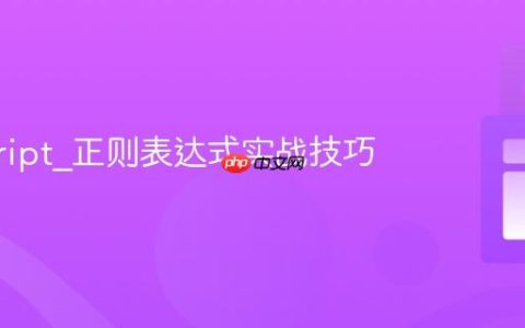 javascript_正则表达式实战技巧