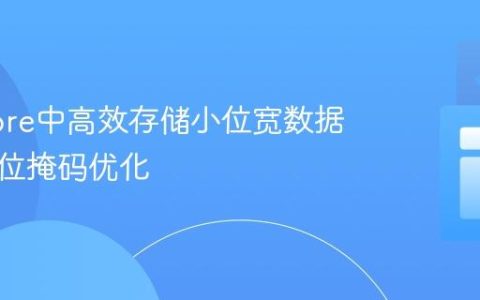 Firestore中高效存储小位宽数据：利用位掩码优化