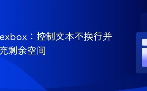 CSS Flexbox：控制文本不换行并动态填充剩余空间