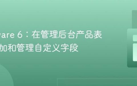 Shopware 6：在管理后台产品表单中添加和管理自定义字段