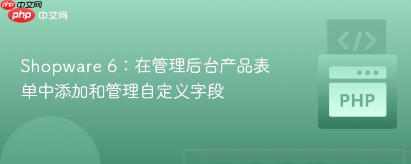 Shopware 6:在管理后台产品表单中添加和管理自定义字段