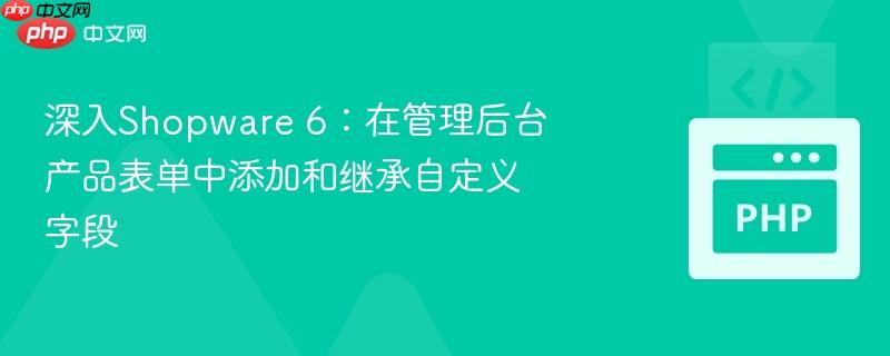 深入shopware 6:在管理后台产品表单中添加和继承自定义字段