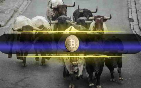 比特币重回 9.3 万美元，看涨情绪回归