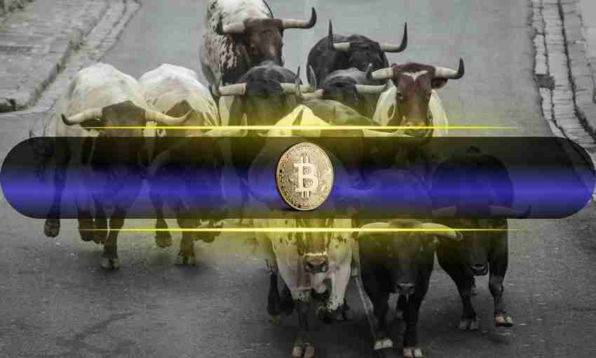 比特币重回 9.3 万美元,看涨情绪回归