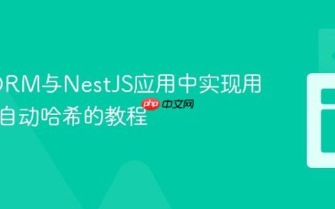 TypeORM与NestJS应用中实现用户密码自动哈希的教程