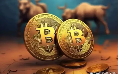 2025年最适合新手入门的交易平台推荐介绍