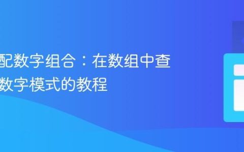 灵活匹配数字组合：在数组中查找特定数字模式的教程