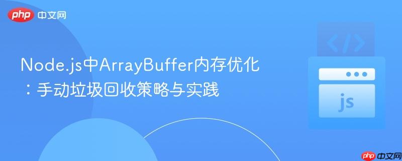 Node.js中ArrayBuffer内存优化:手动垃圾回收策略与实践
