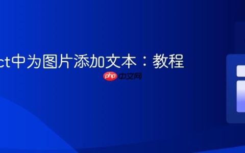 在React中为图片添加文本：教程与实践