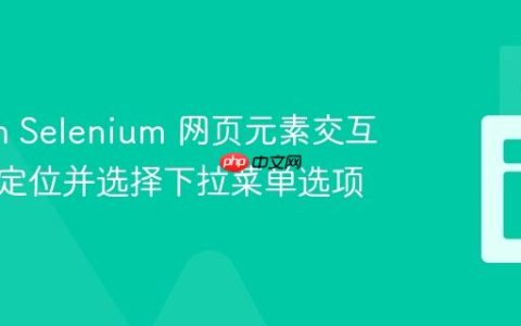 Python Selenium 网页元素交互：精准定位并选择下拉菜单选项