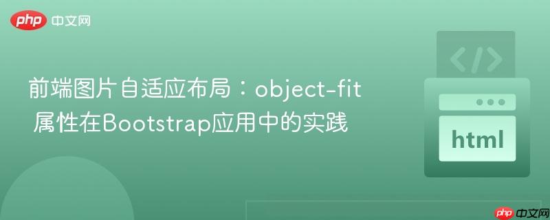 前端图片自适应布局:object-fit 属性在Bootstrap应用中的实践