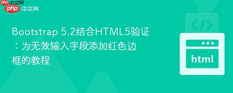 Bootstrap 5.2结合HTML5验证:为无效输入字段添加红色边框的教程