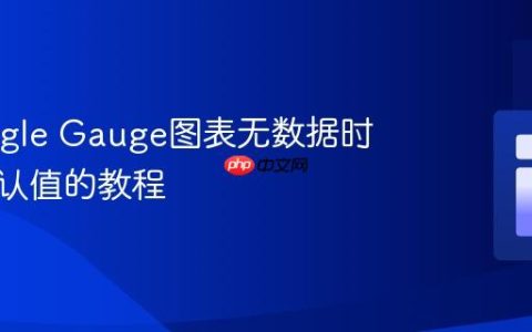 在Google Gauge图表无数据时显示默认值的教程