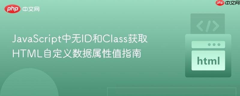 JavaScript中无ID和Class获取HTML自定义数据属性值指南
