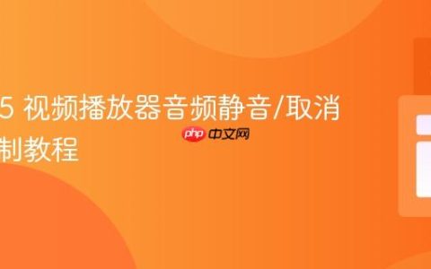 HTML5 视频播放器音频静音/取消静音控制教程