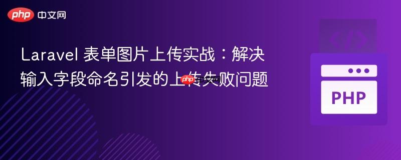 Laravel 表单图片上传实战:解决输入字段命名引发的上传失败问题