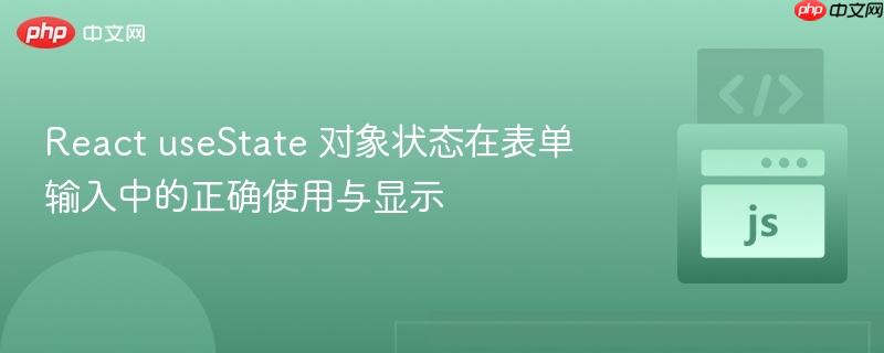 React useState 对象状态在表单输入中的正确使用与显示