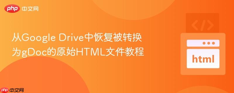 从google drive中恢复被转换为gdoc的原始html文件教程