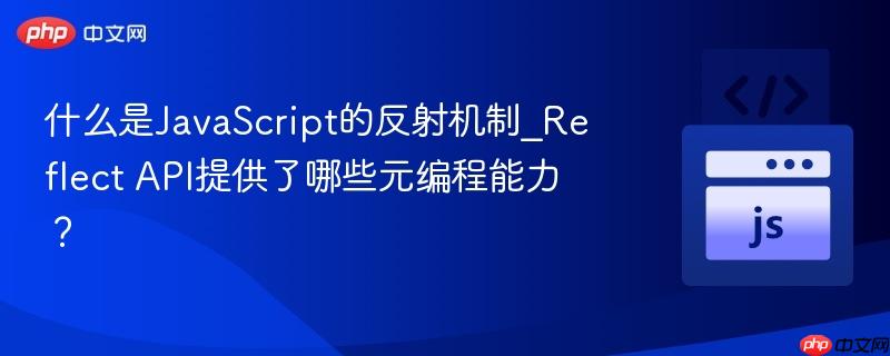 什么是javascript的反射机制_reflect api提供了哪些元编程能力?