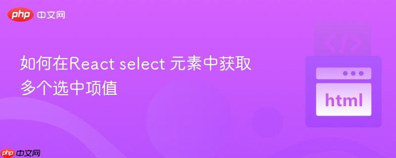 如何在react select 元素中获取多个选中项值