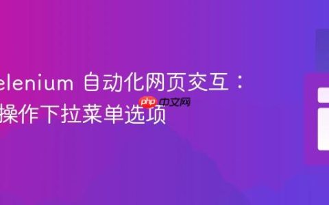 使用 Selenium 自动化网页交互：定位并操作下拉菜单选项