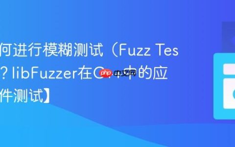 C++如何进行模糊测试（Fuzz Testing）？libFuzzer在C++中的应用【软件测试】
