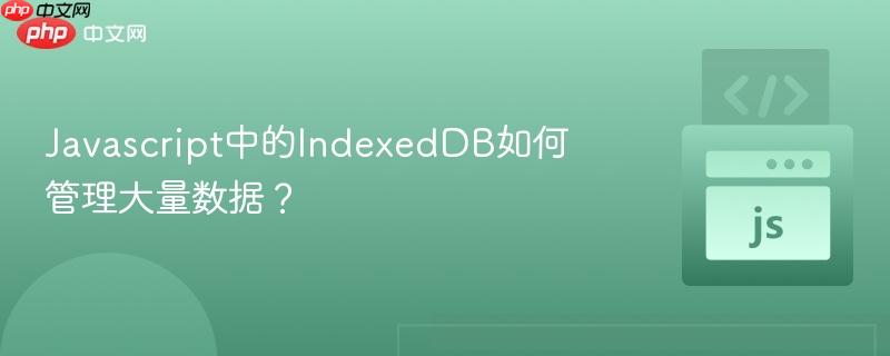 javascript中的indexeddb如何管理大量数据?