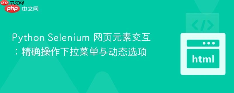 Python Selenium 网页元素交互：精确操作下拉菜单与动态选项