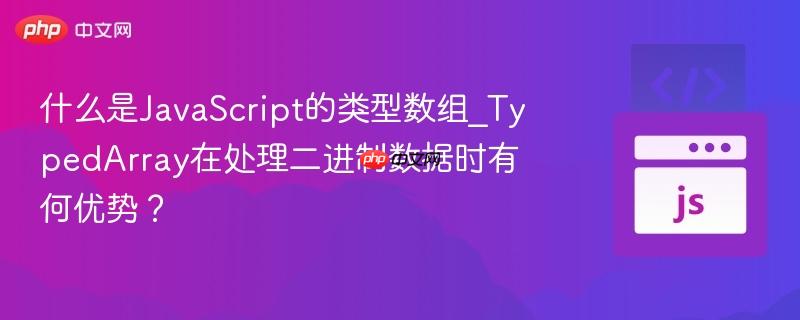 什么是javascript的类型数组_typedarray在处理二进制数据时有何优势?