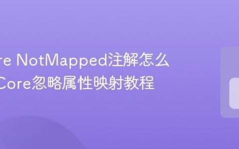 EF Core NotMapped注解怎么用 EF Core忽略属性映射教程